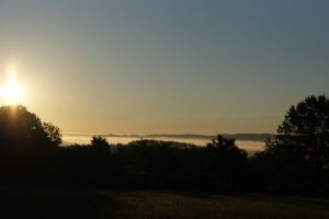 Ustajeni (29)
